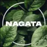 _Nagata_