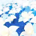 𝓾𝓶𝓲 𝓼𝓮𝓻𝓿 avatar