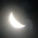 worldcomunauty avatar