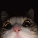 SlydeCord avatar
