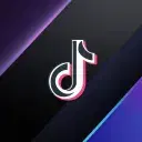 TIKTOK+⎮📊 logo