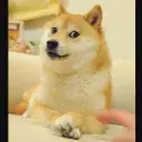 Serveur de playcraft123 logo