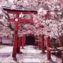 ╰ 𝐌𝐮𝐢𝐬𝐚𝐧 ᡣ ⛩ ╮ banner