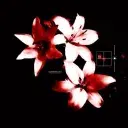 💫 Création d'histoires 📜 logo