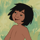 Mowgli 🌴 avatar