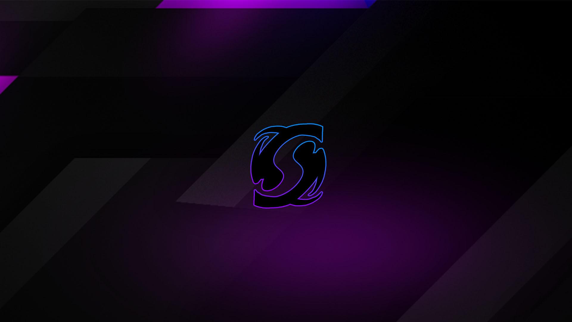 Snow & Co. banner