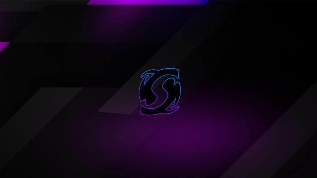 Snow & Co. banner
